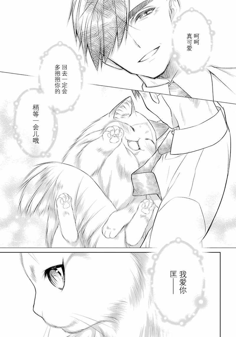 《我是猫咪大人的奴仆》漫画 006集