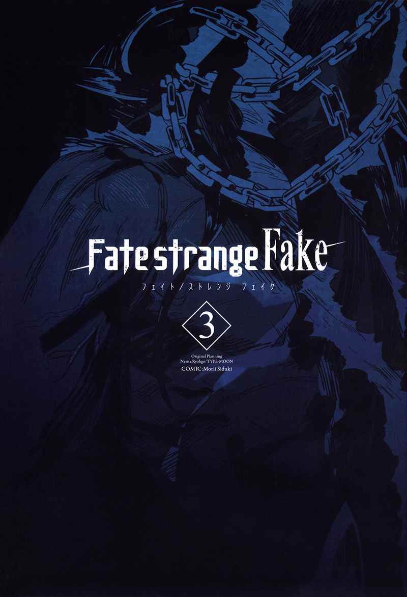 《Fate/strange fake》漫画 fake 03卷