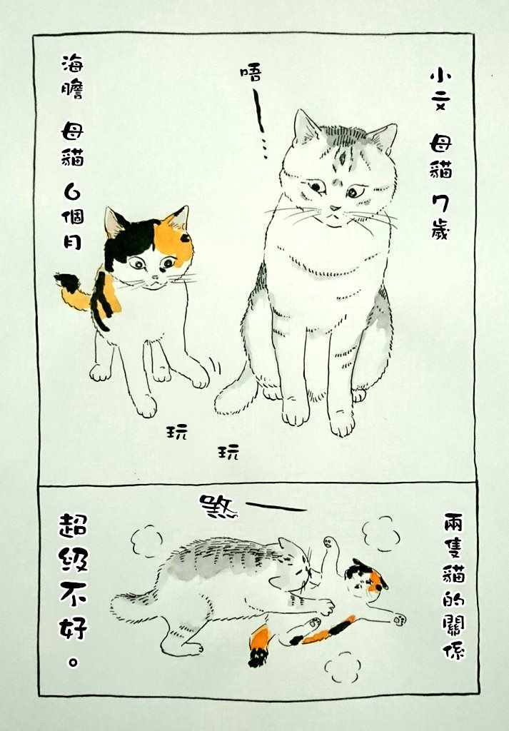 《我曾经巨讨厌猫来的》漫画 短篇