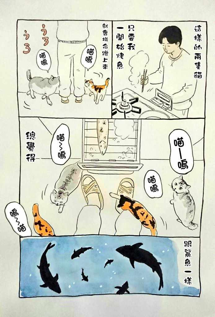 《我曾经巨讨厌猫来的》漫画 短篇