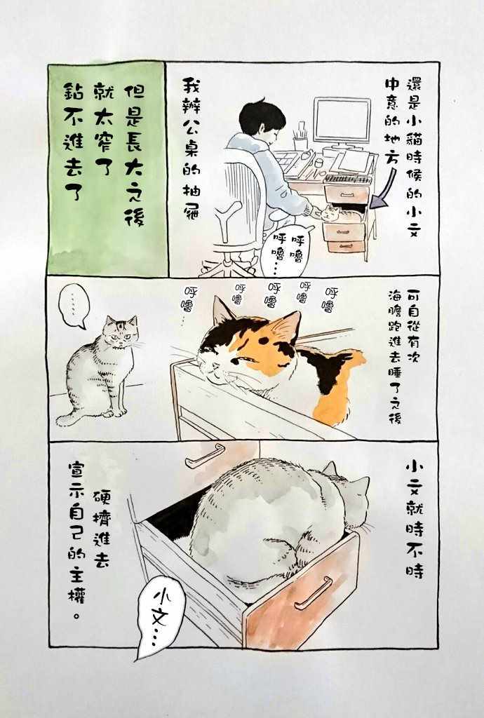 《我曾经巨讨厌猫来的》漫画 短篇