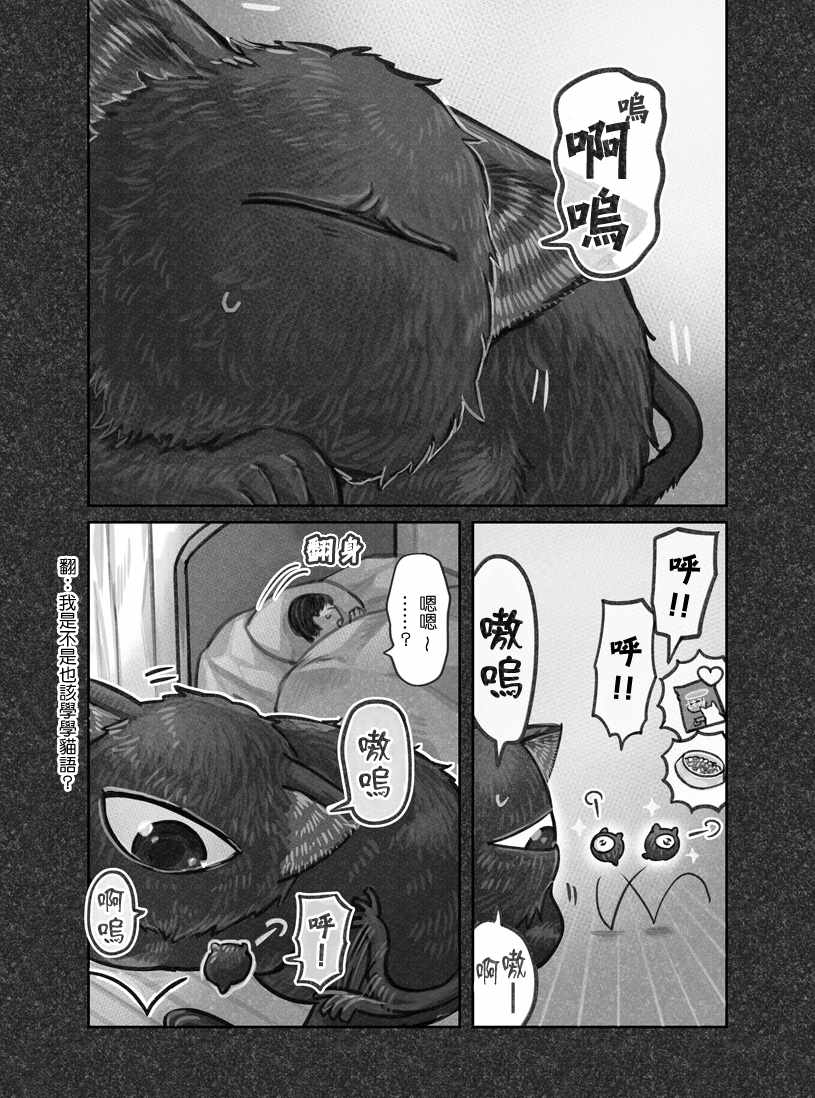 《我捡了一只猫》漫画 013集