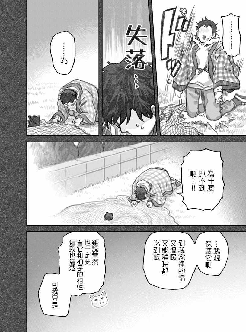 《我捡了一只猫》漫画 020集