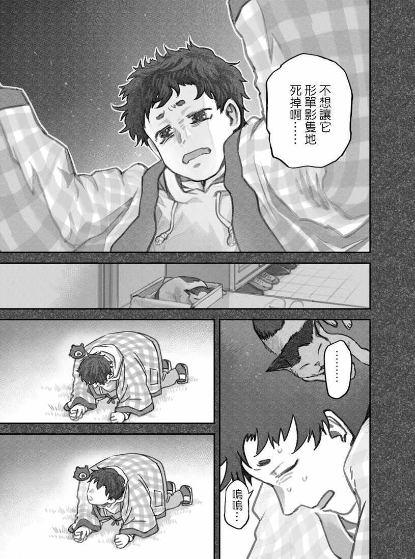 《我捡了一只猫》漫画 020集