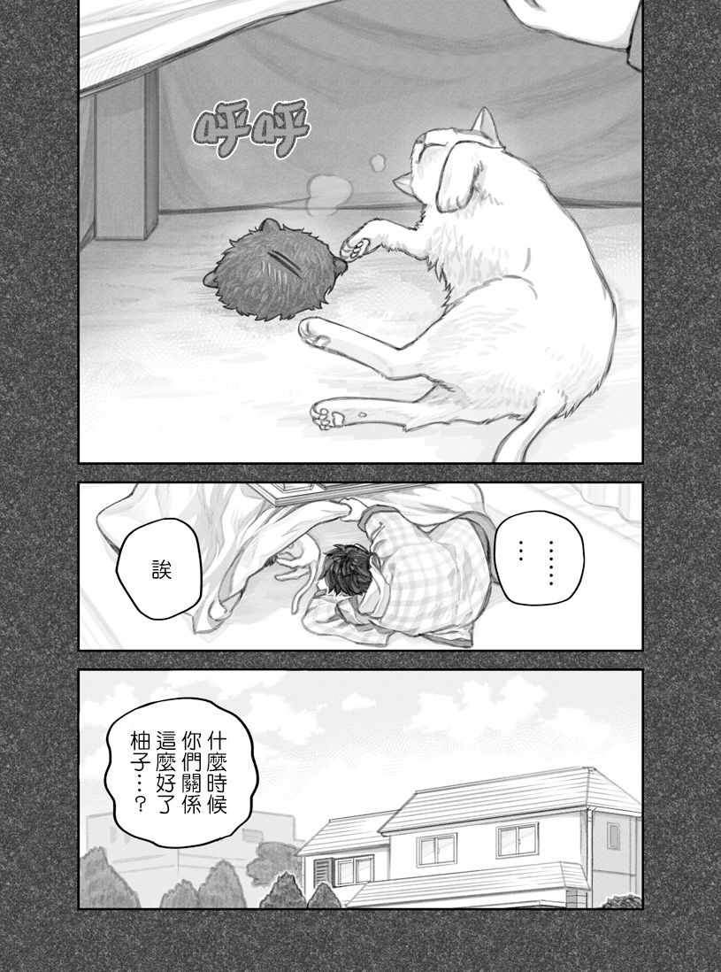 《我捡了一只猫》漫画 022集