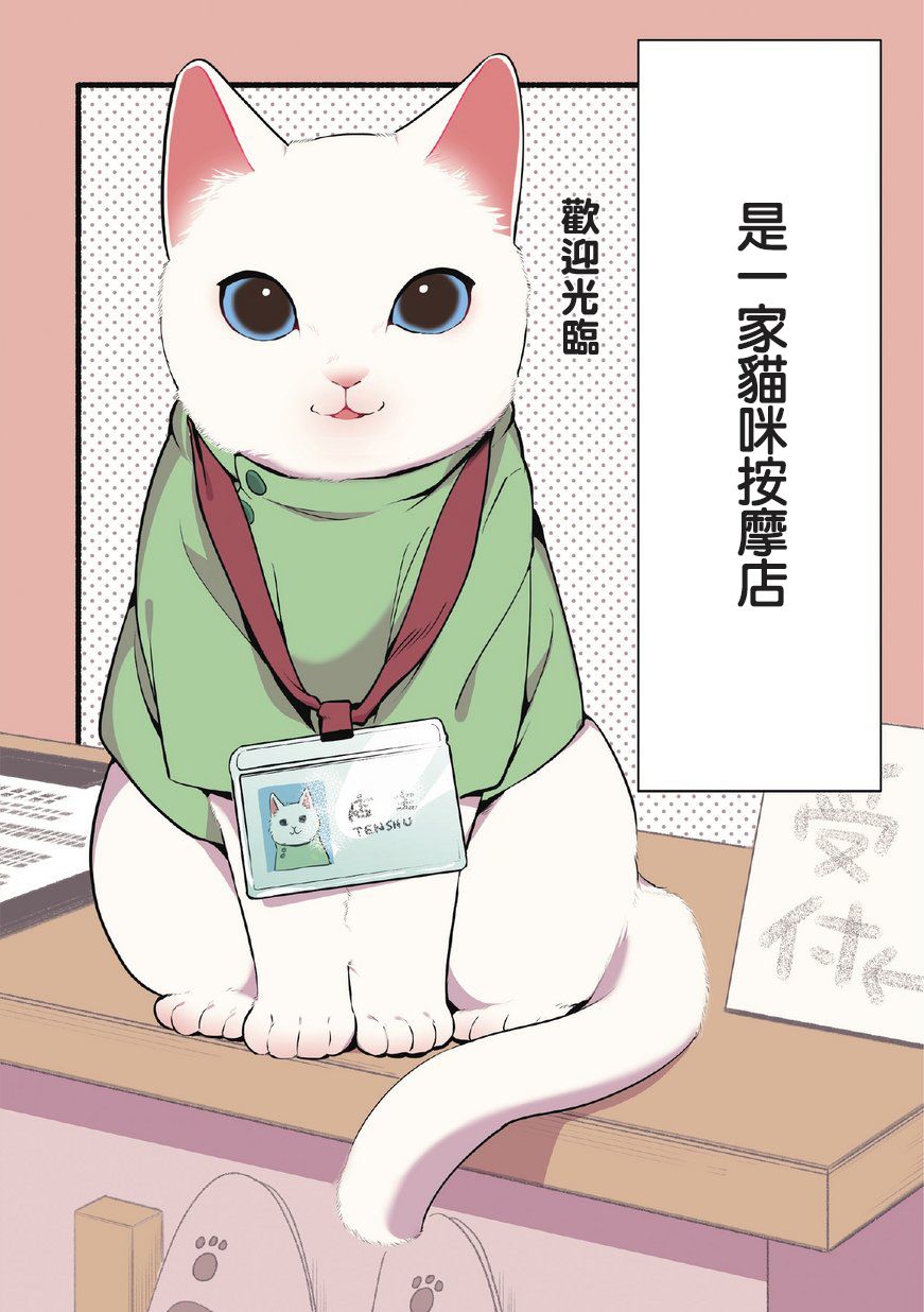 《猫咪按摩师》漫画 001集