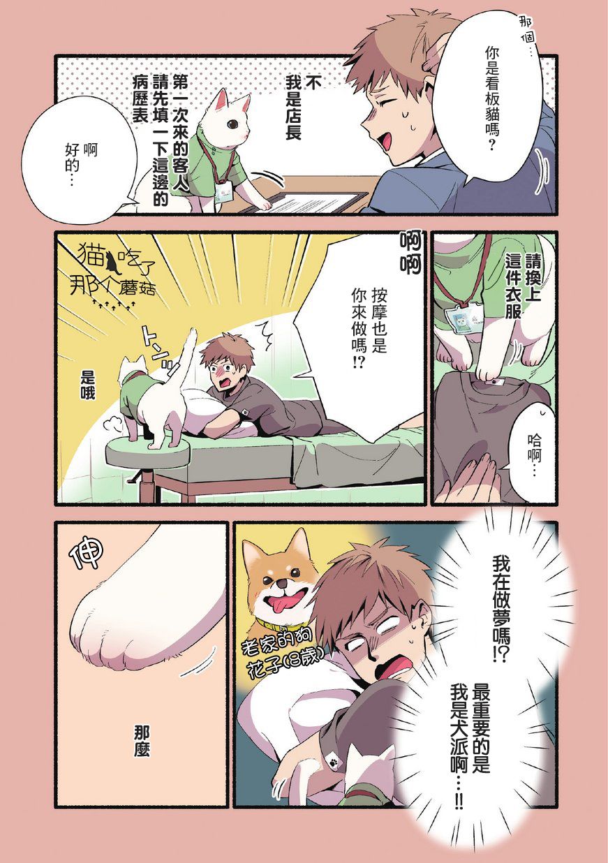 《猫咪按摩师》漫画 001集