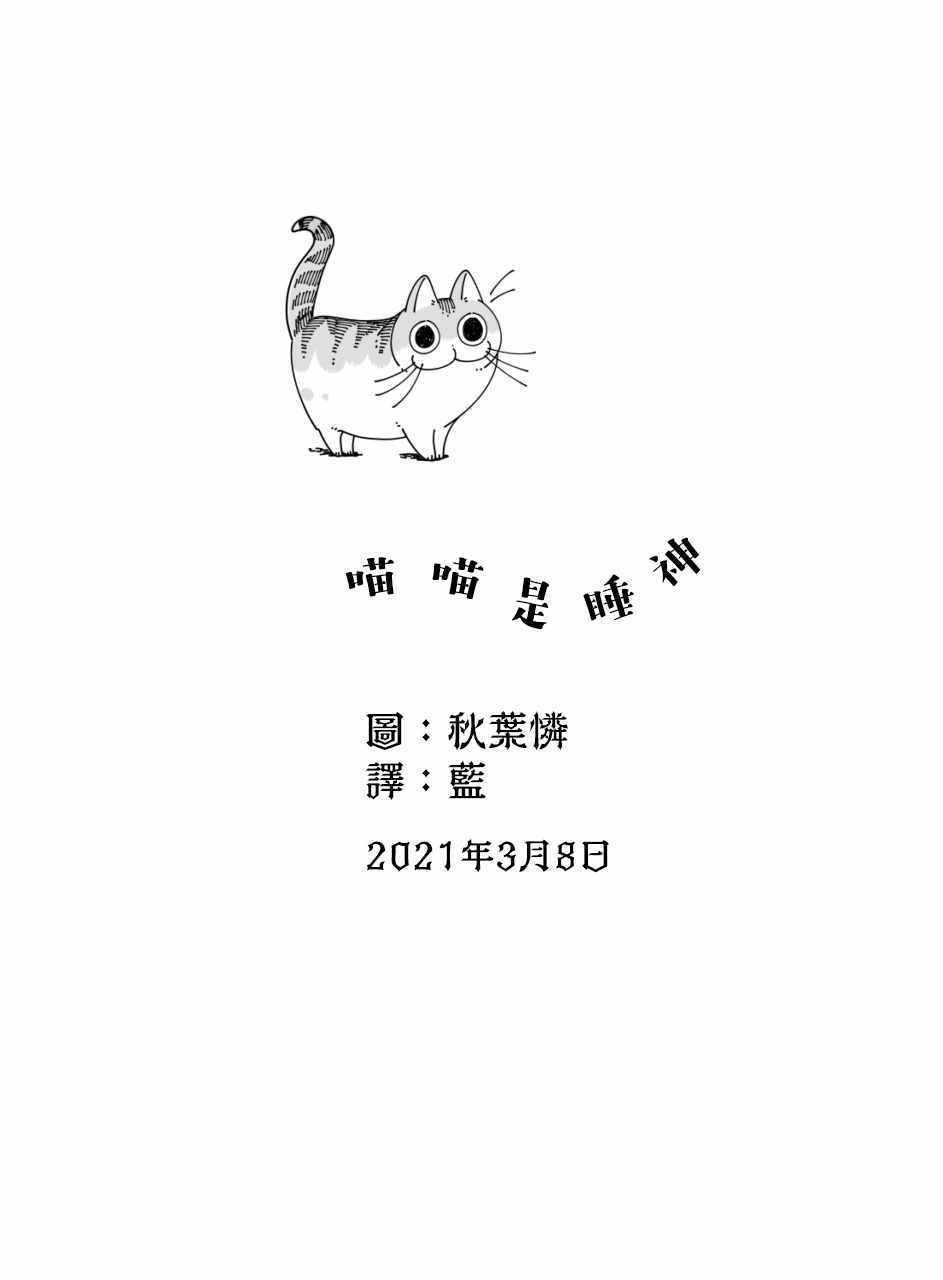 《关于养猫我一直是新手》漫画 关于养猫 049集