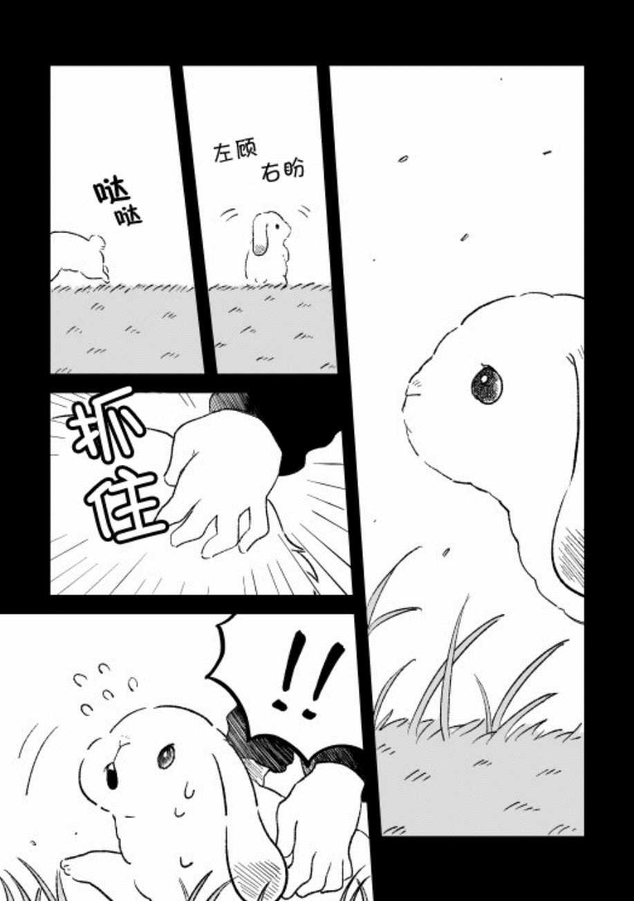 《这里是兔兔王国》漫画 001集