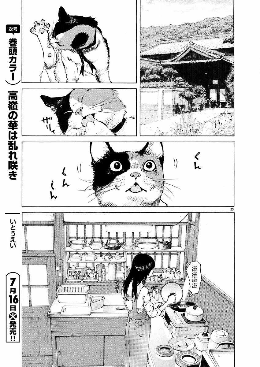 《海岛与少女还有猫》漫画 012集