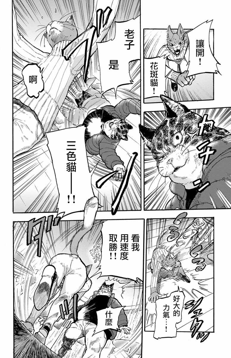 《猫猫刑警》漫画 001集