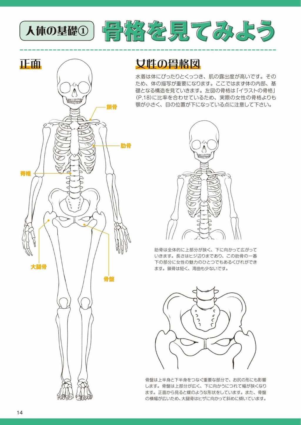 《How to draw swimsuits》漫画 短篇