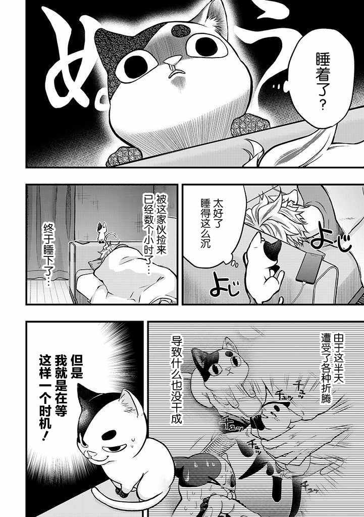 《被遗弃的小猫咪与原黑道》漫画 小猫咪与原黑道 003集