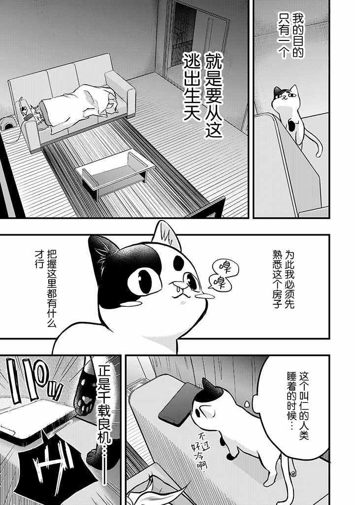 《被遗弃的小猫咪与原黑道》漫画 小猫咪与原黑道 004集