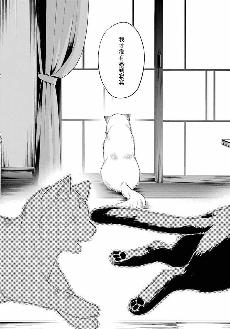 《我是猫咪大人的奴仆》漫画 006集