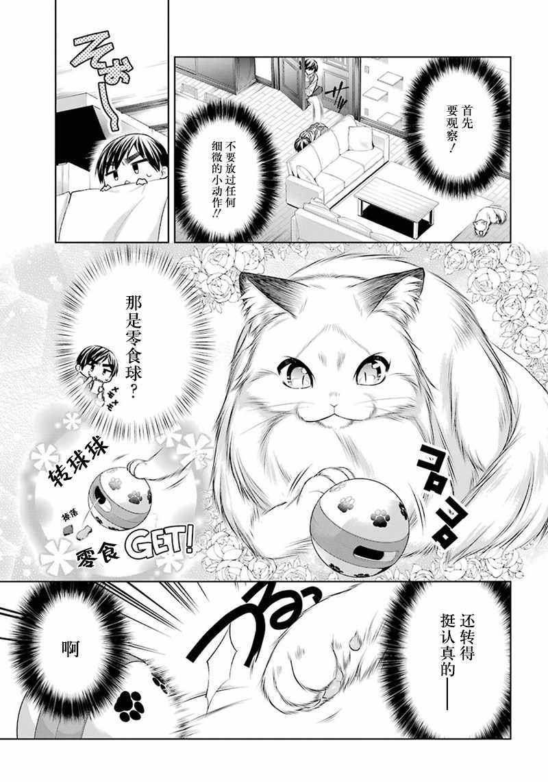 《我是猫咪大人的奴仆》漫画 006集