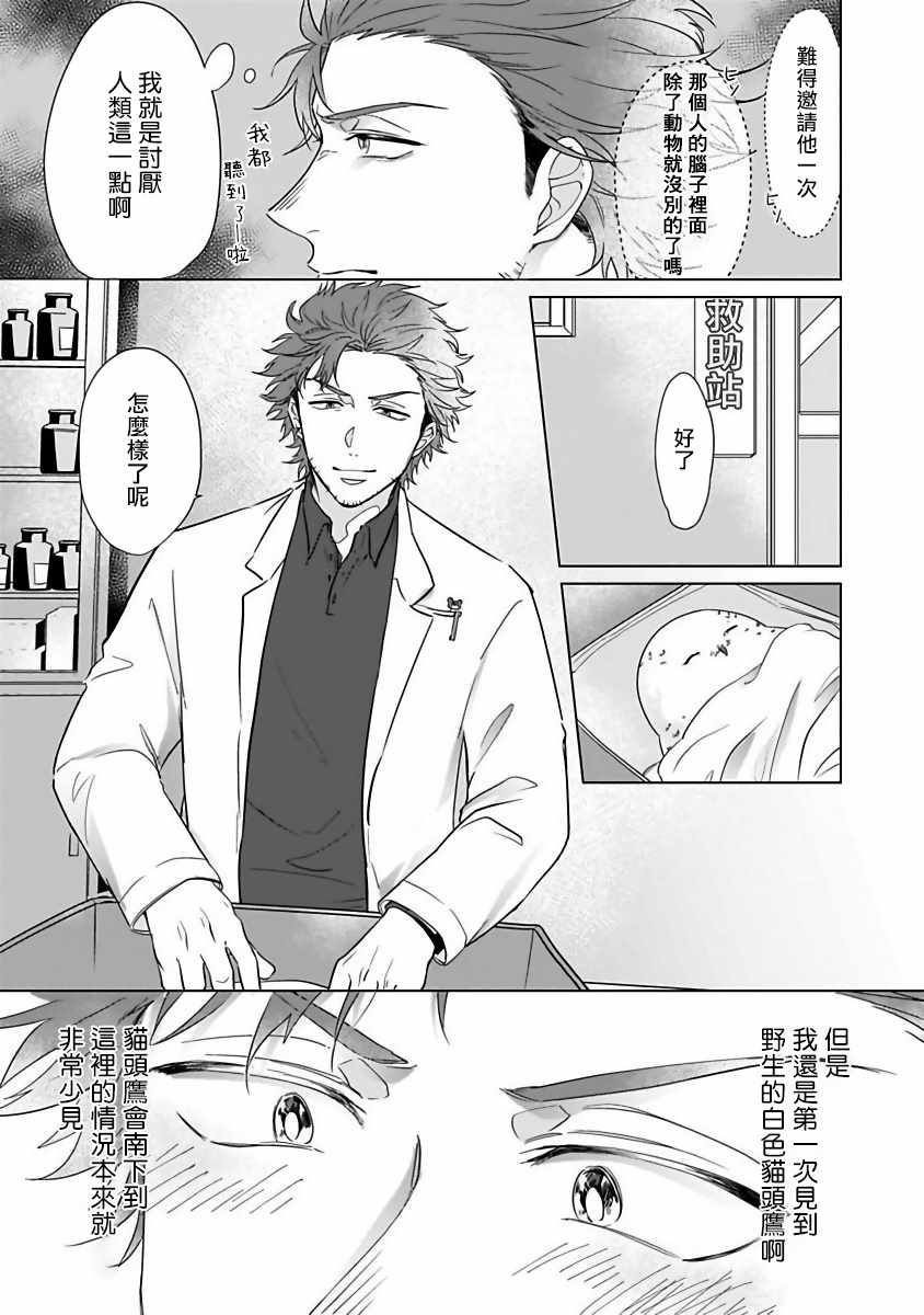 《猫头鹰的相思病》漫画 001集