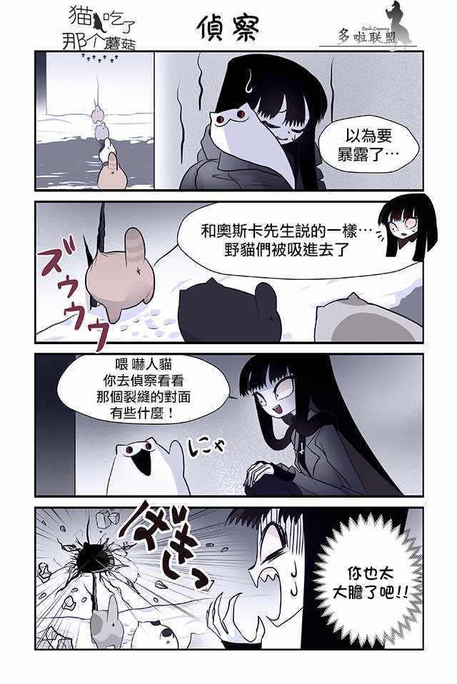 《猫和我的奇妙生活》漫画 013集