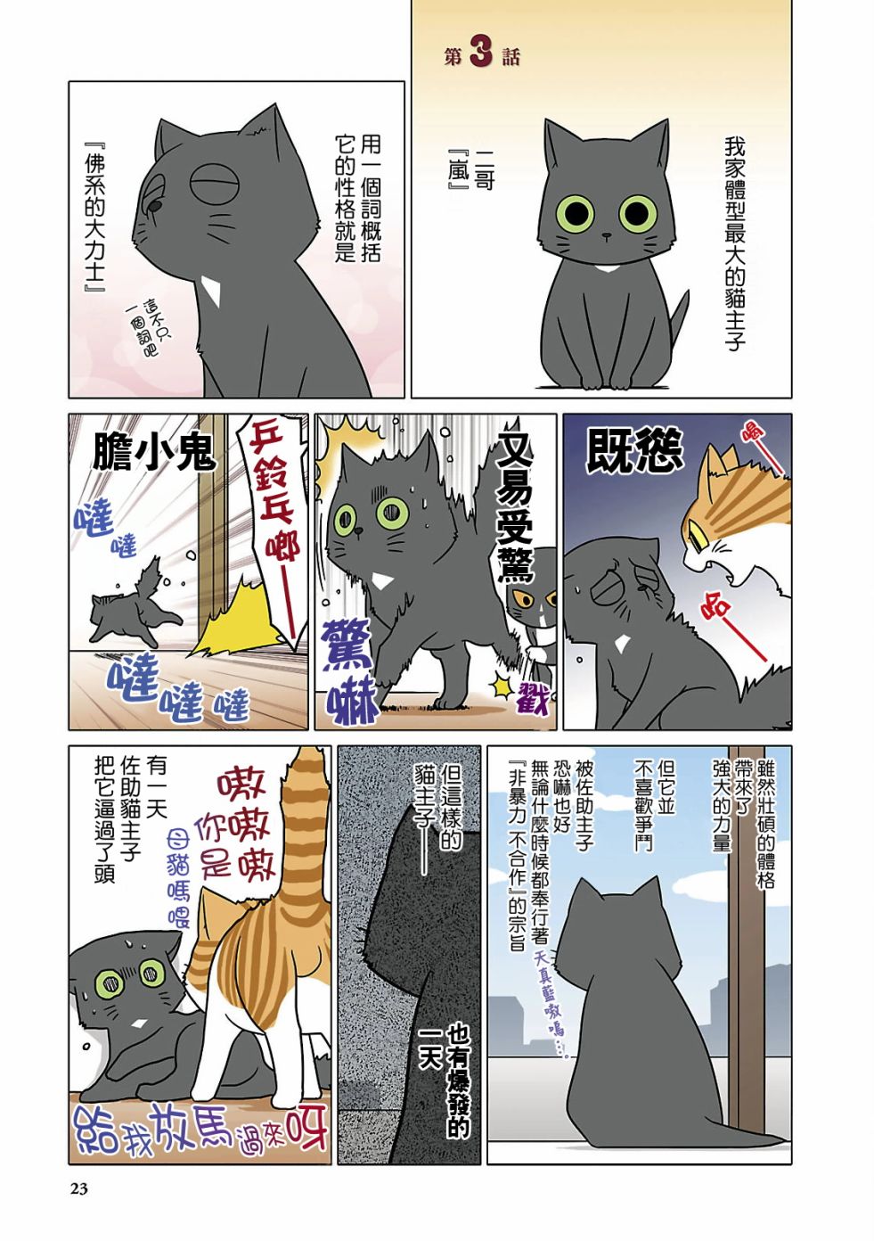 《猫和我的日常》漫画 003集
