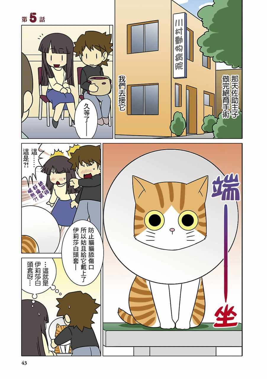 《猫和我的日常》漫画 005集