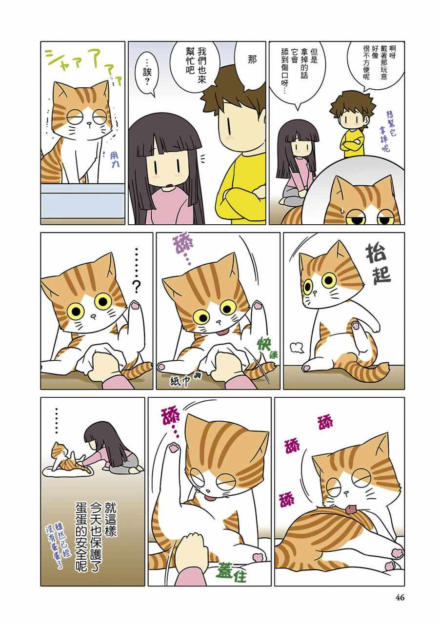 《猫和我的日常》漫画 005集