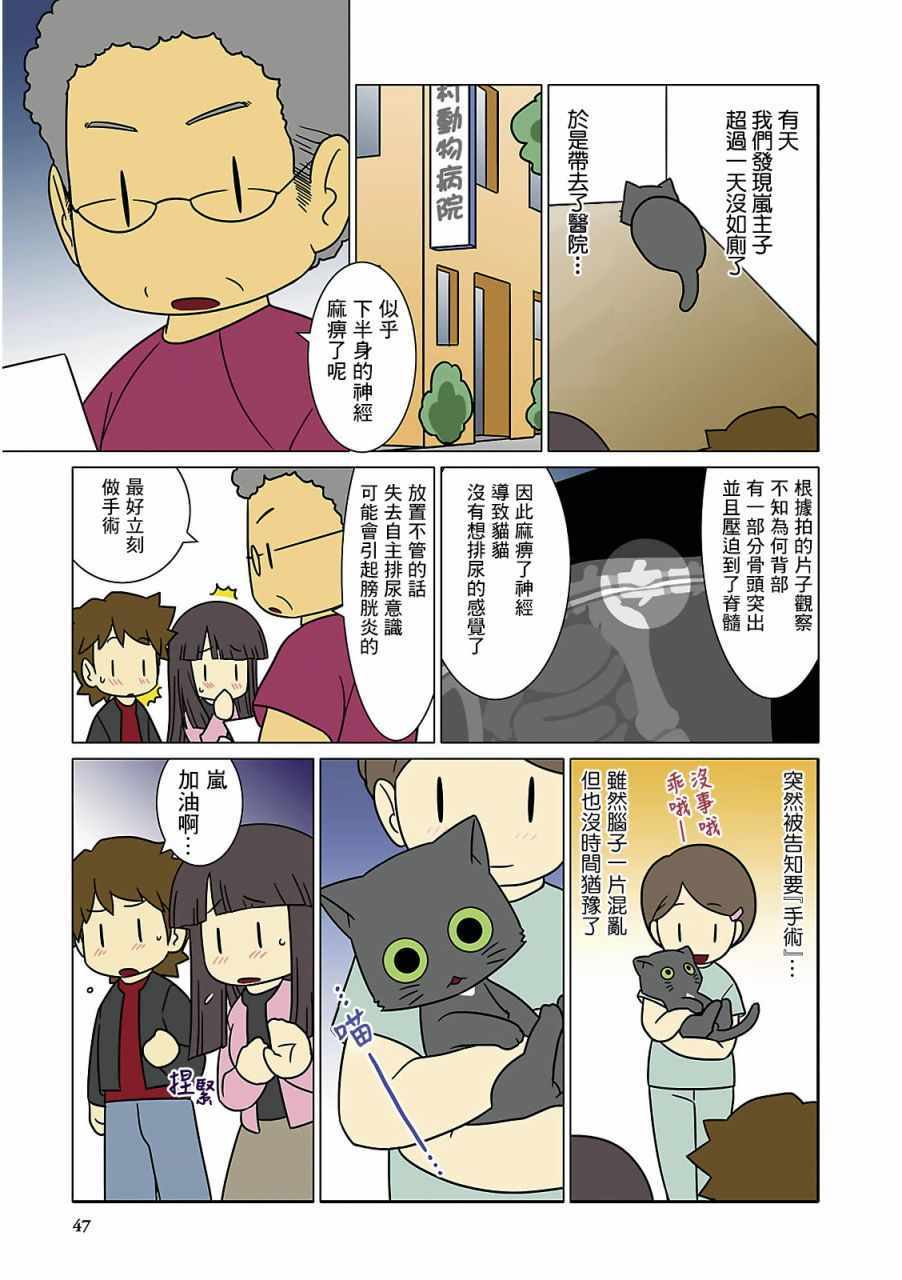 《猫和我的日常》漫画 005集