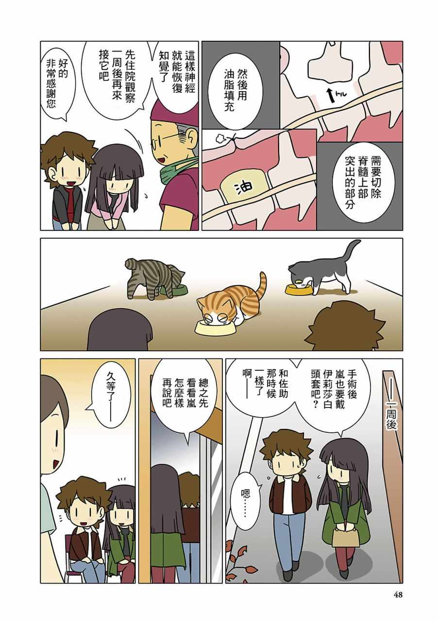 《猫和我的日常》漫画 005集