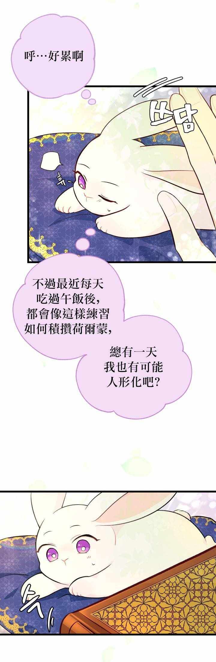 《兔子与黑豹的共生关系》漫画 兔子与黑豹 008集