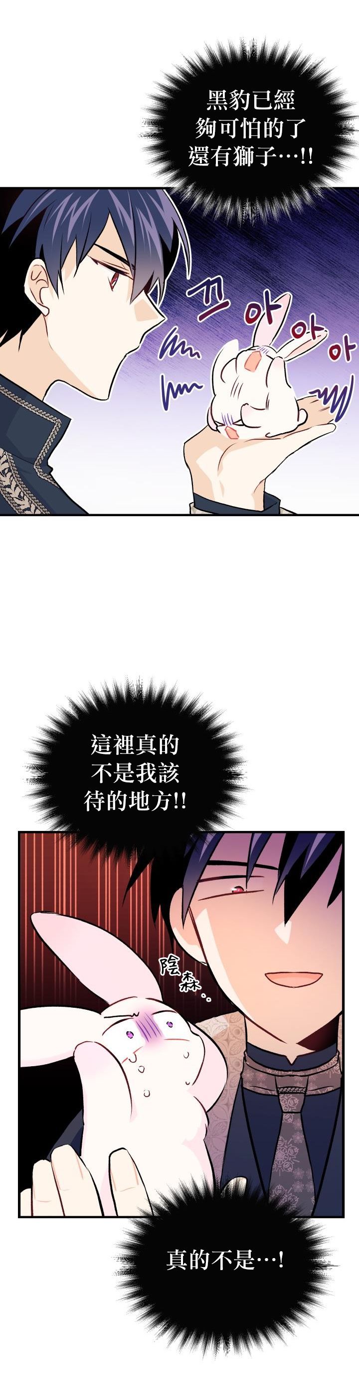 《兔子与黑豹的共生关系》漫画 兔子与黑豹 009集