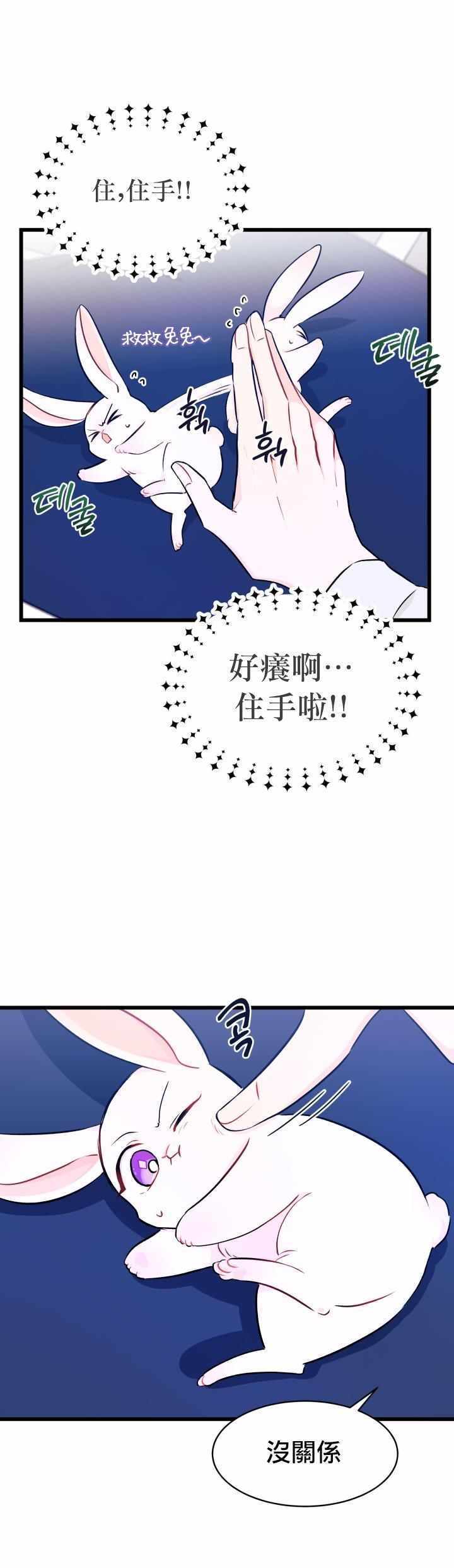 《兔子与黑豹的共生关系》漫画 兔子与黑豹 010集