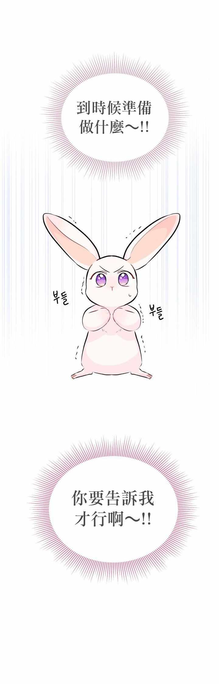 《兔子与黑豹的共生关系》漫画 兔子与黑豹 011集
