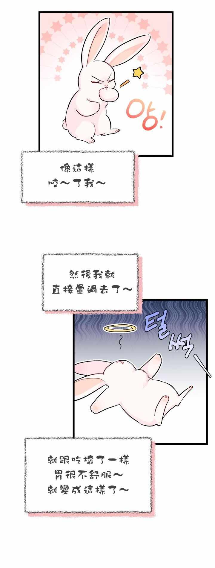 《兔子与黑豹的共生关系》漫画 兔子与黑豹 011集