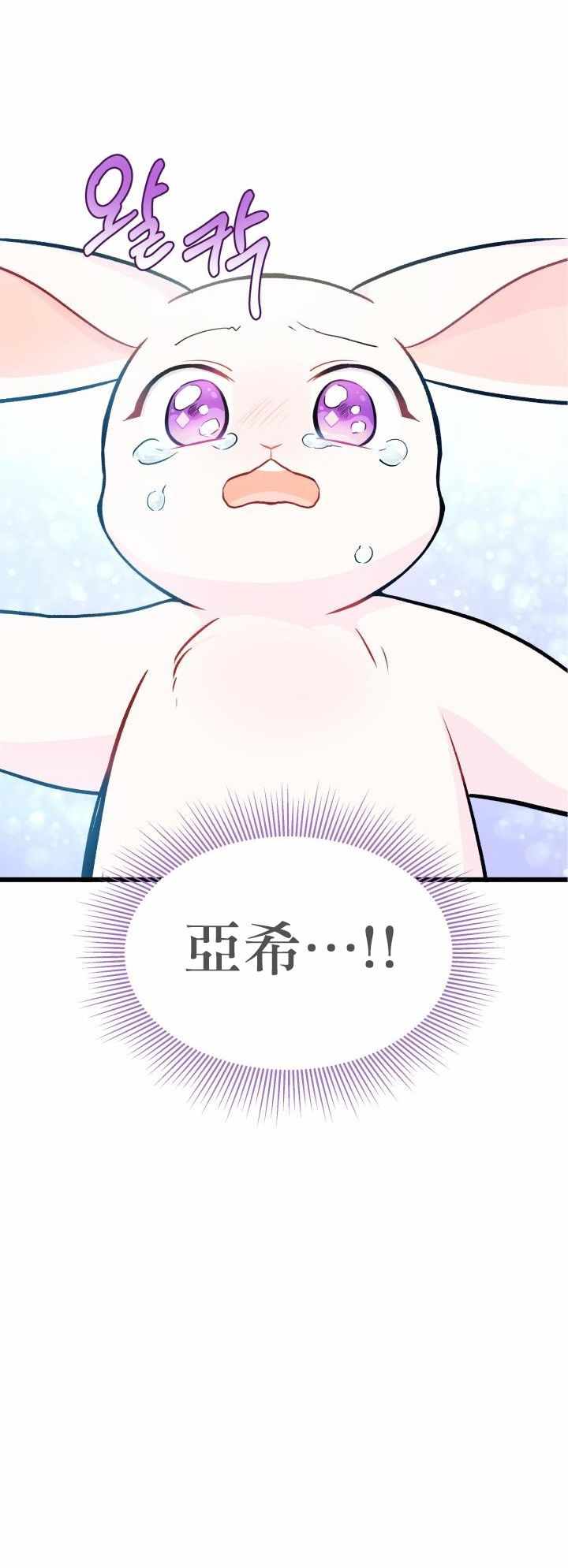 《兔子与黑豹的共生关系》漫画 兔子与黑豹 014集