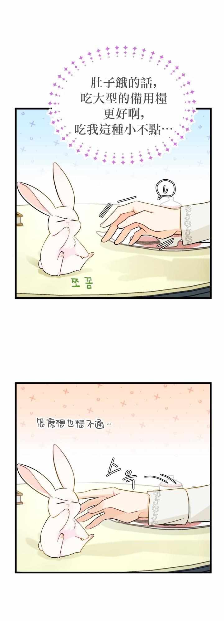 《兔子与黑豹的共生关系》漫画 兔子与黑豹 015集