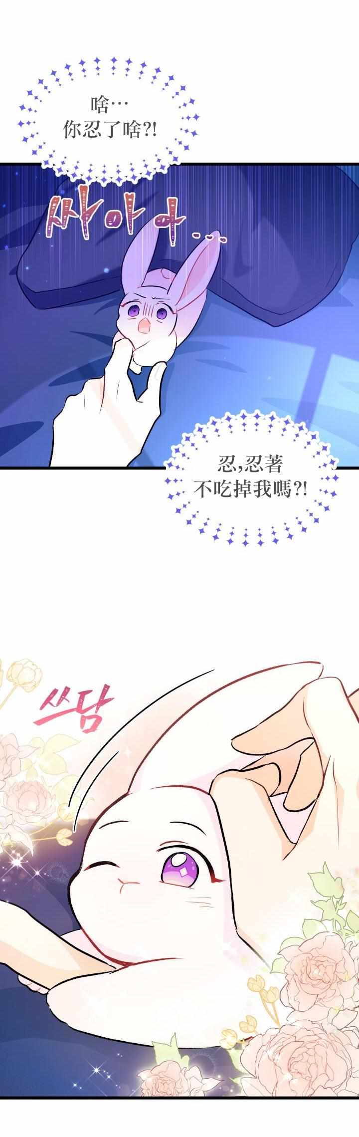 《兔子与黑豹的共生关系》漫画 兔子与黑豹 015集