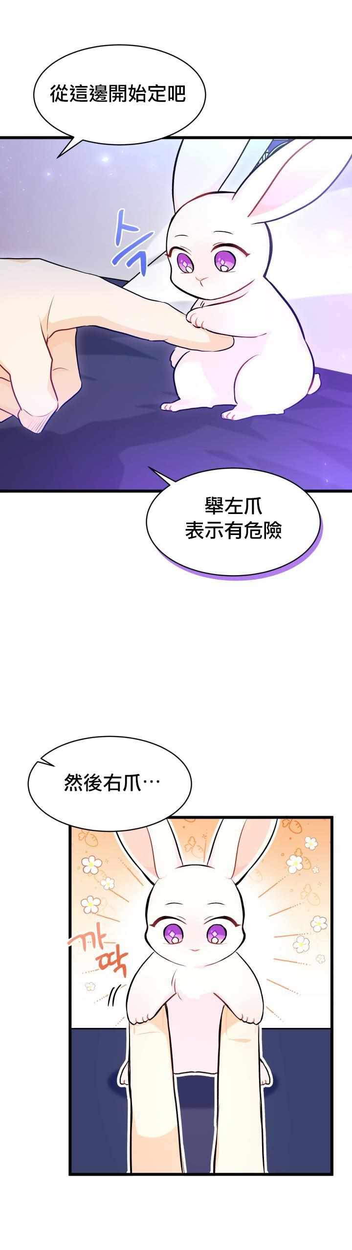 《兔子与黑豹的共生关系》漫画 兔子与黑豹 016集