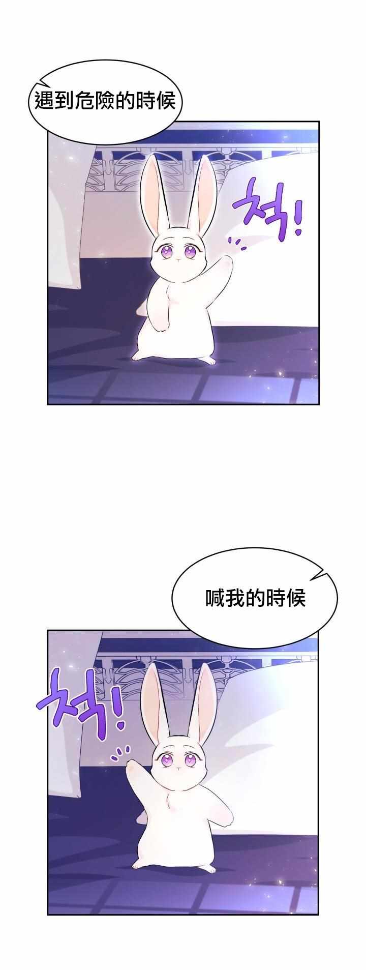 《兔子与黑豹的共生关系》漫画 兔子与黑豹 016集