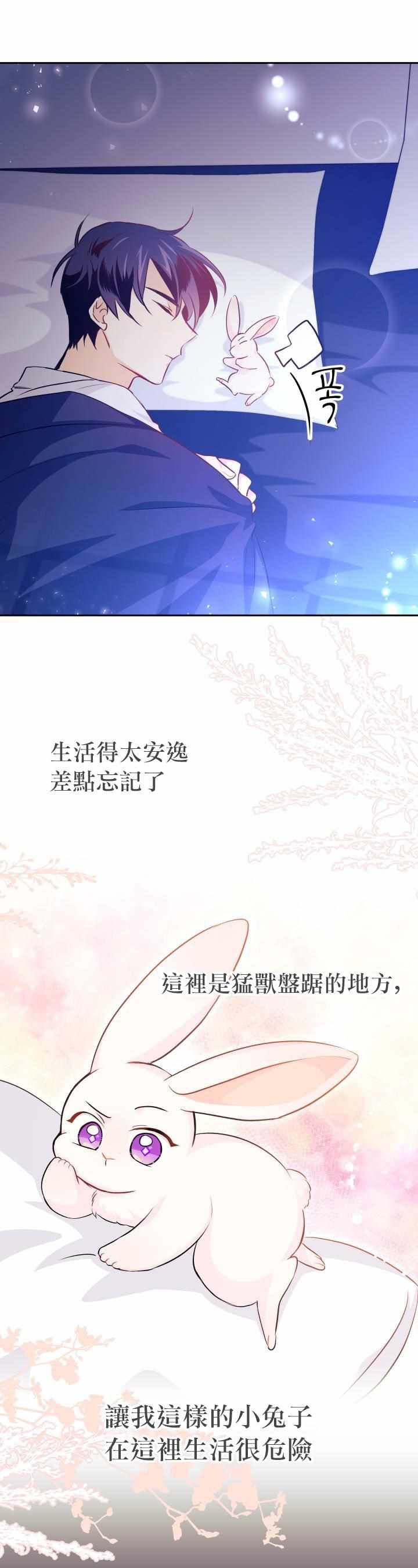 《兔子与黑豹的共生关系》漫画 兔子与黑豹 016集