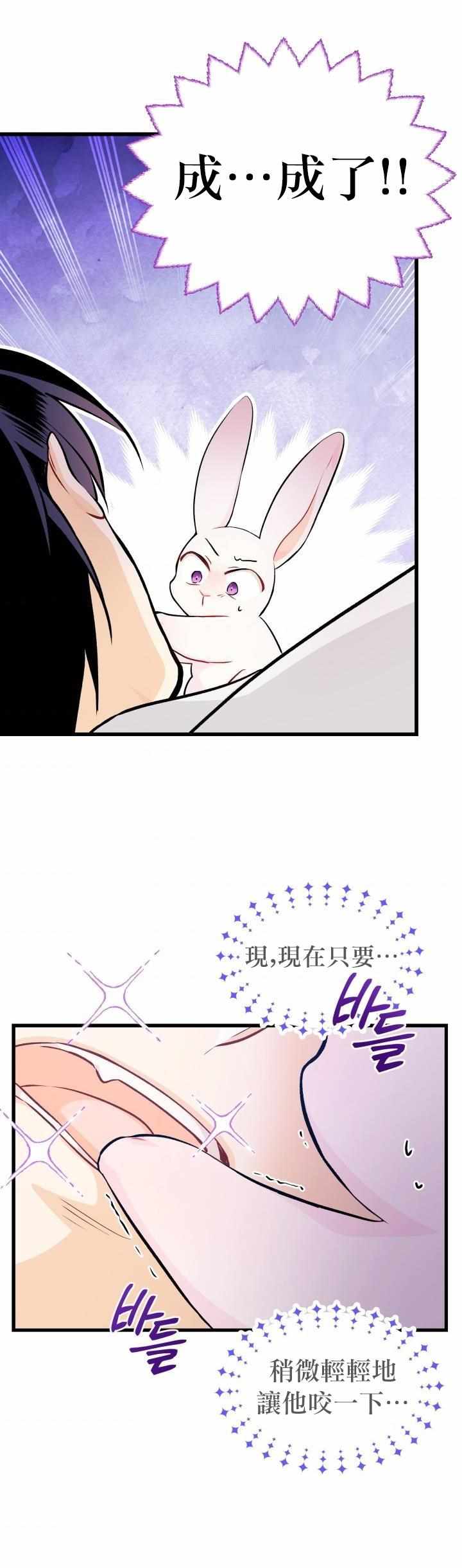 《兔子与黑豹的共生关系》漫画 兔子与黑豹 016集