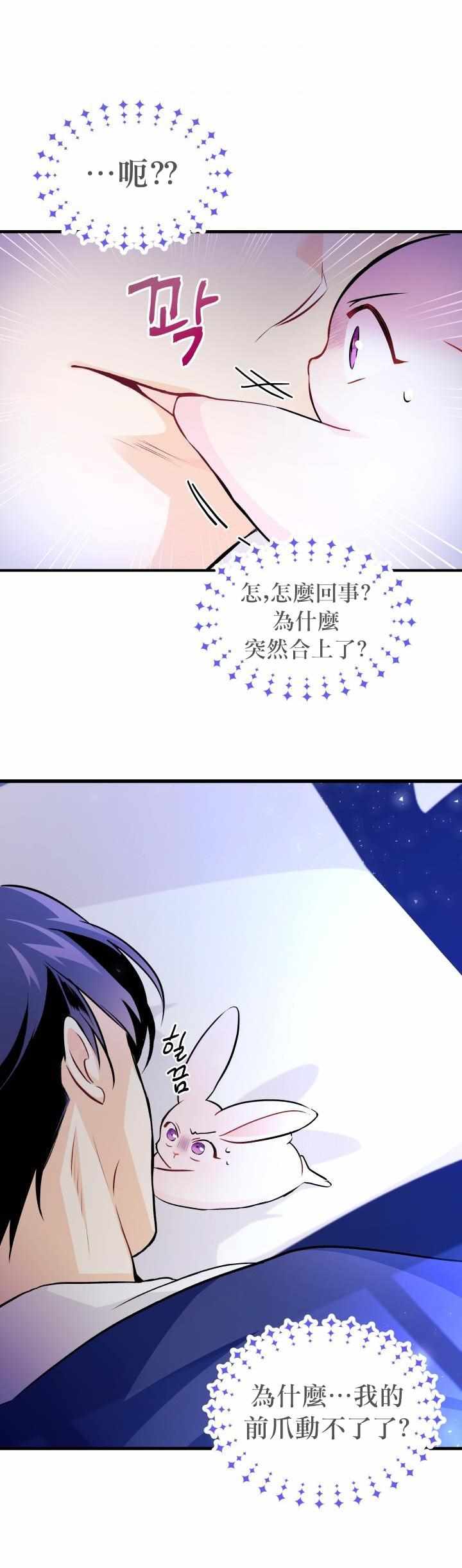 《兔子与黑豹的共生关系》漫画 兔子与黑豹 016集