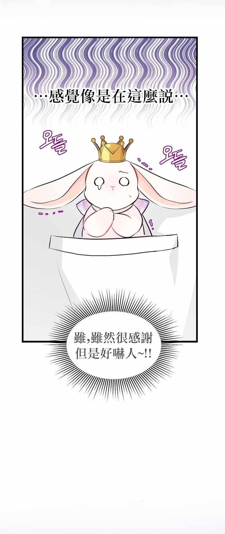 《兔子与黑豹的共生关系》漫画 兔子与黑豹 018集