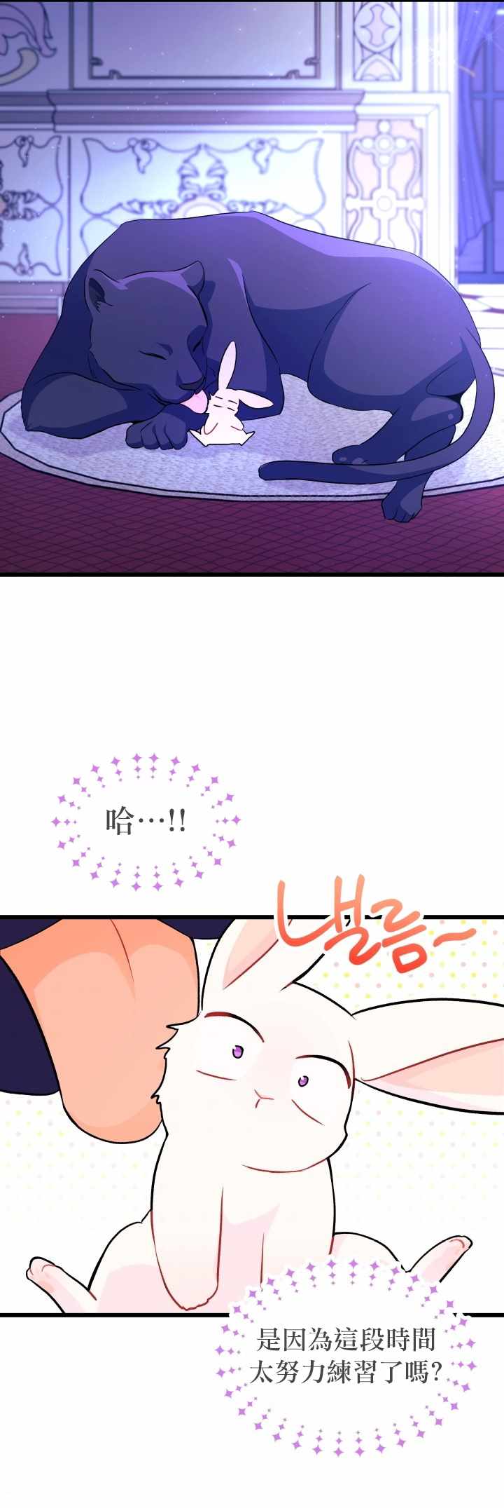 《兔子与黑豹的共生关系》漫画 兔子与黑豹 023集