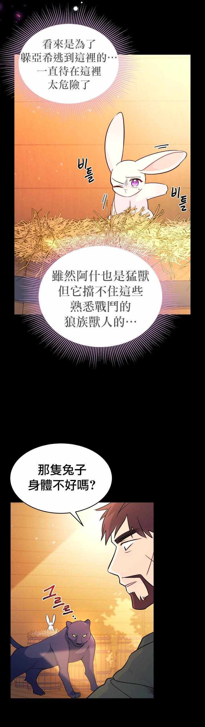 《兔子与黑豹的共生关系》漫画 兔子与黑豹 028集