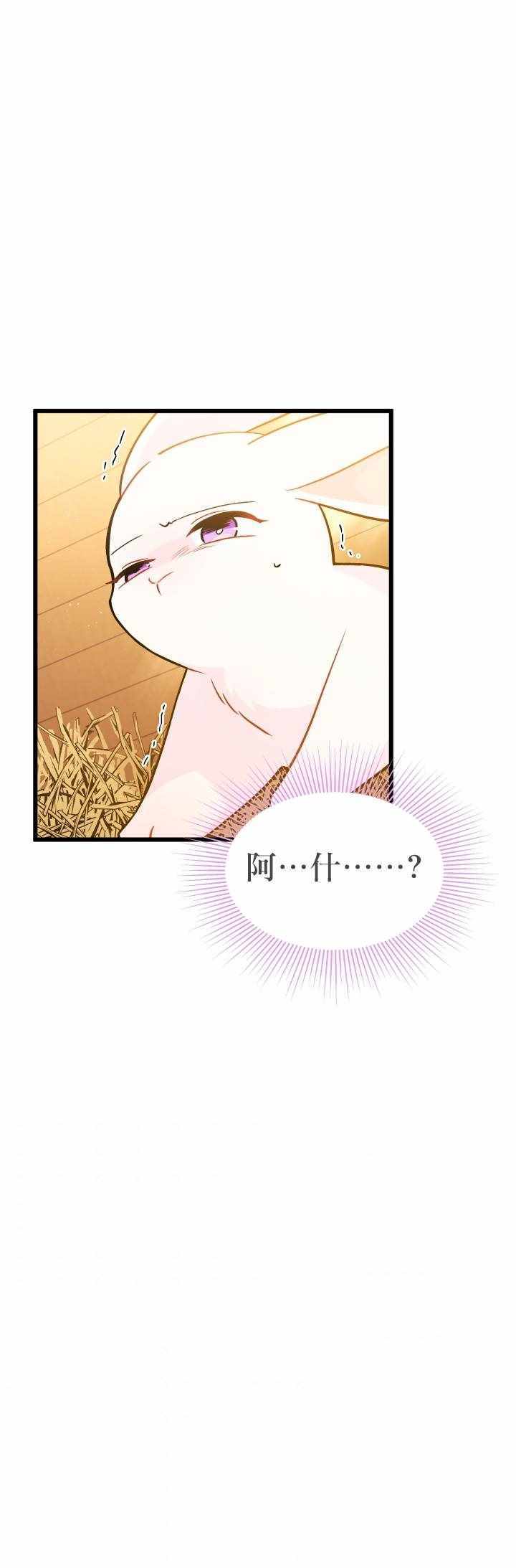 《兔子与黑豹的共生关系》漫画 兔子与黑豹 028集