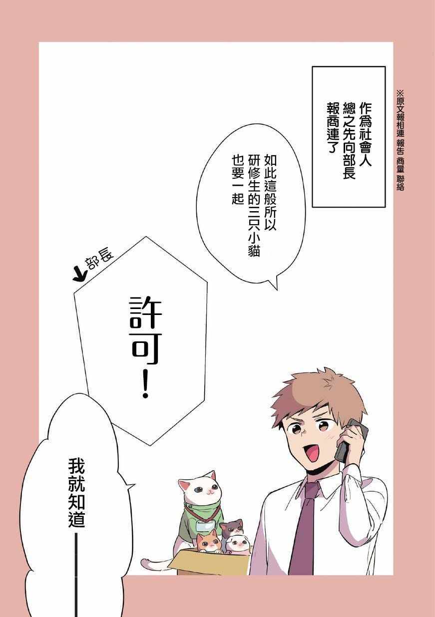 《猫咪按摩师》漫画 009集