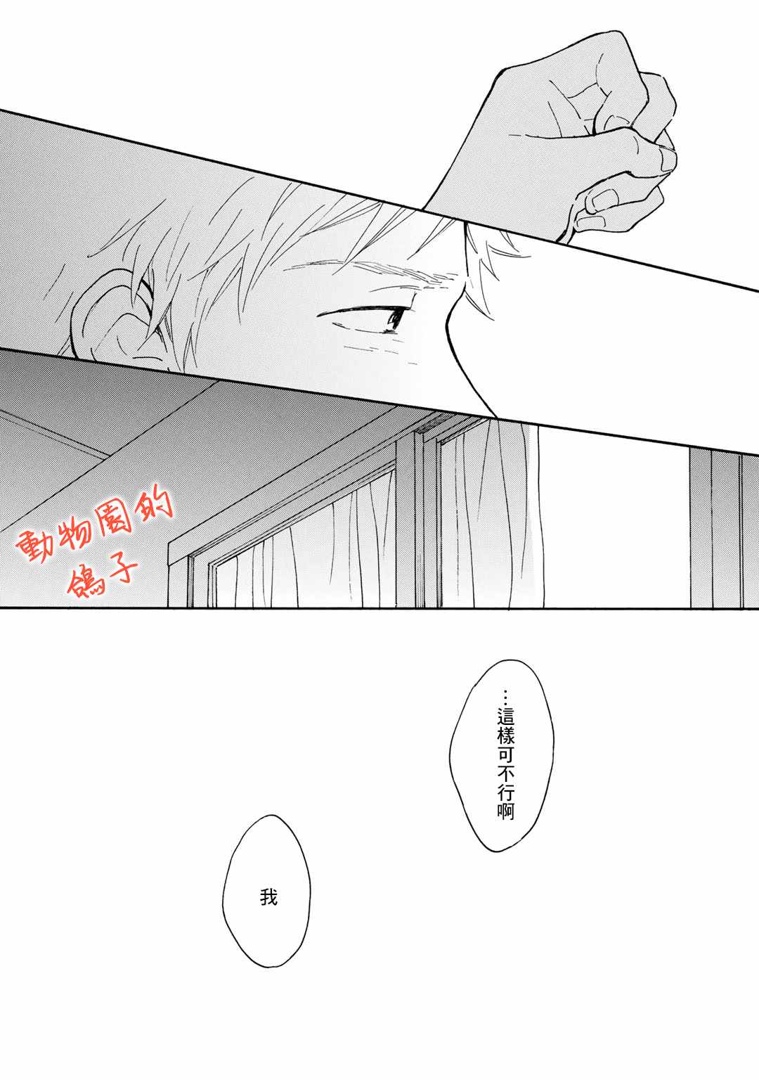 《相伴而行的狮子》漫画 005集