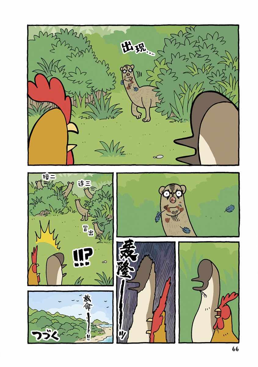 《鸡仔生活》漫画 007集