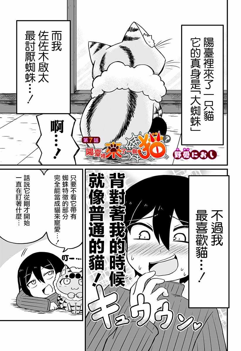 《阳台里来了一蜘猫》漫画 007集