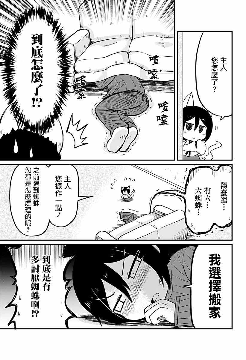 《阳台里来了一蜘猫》漫画 007集