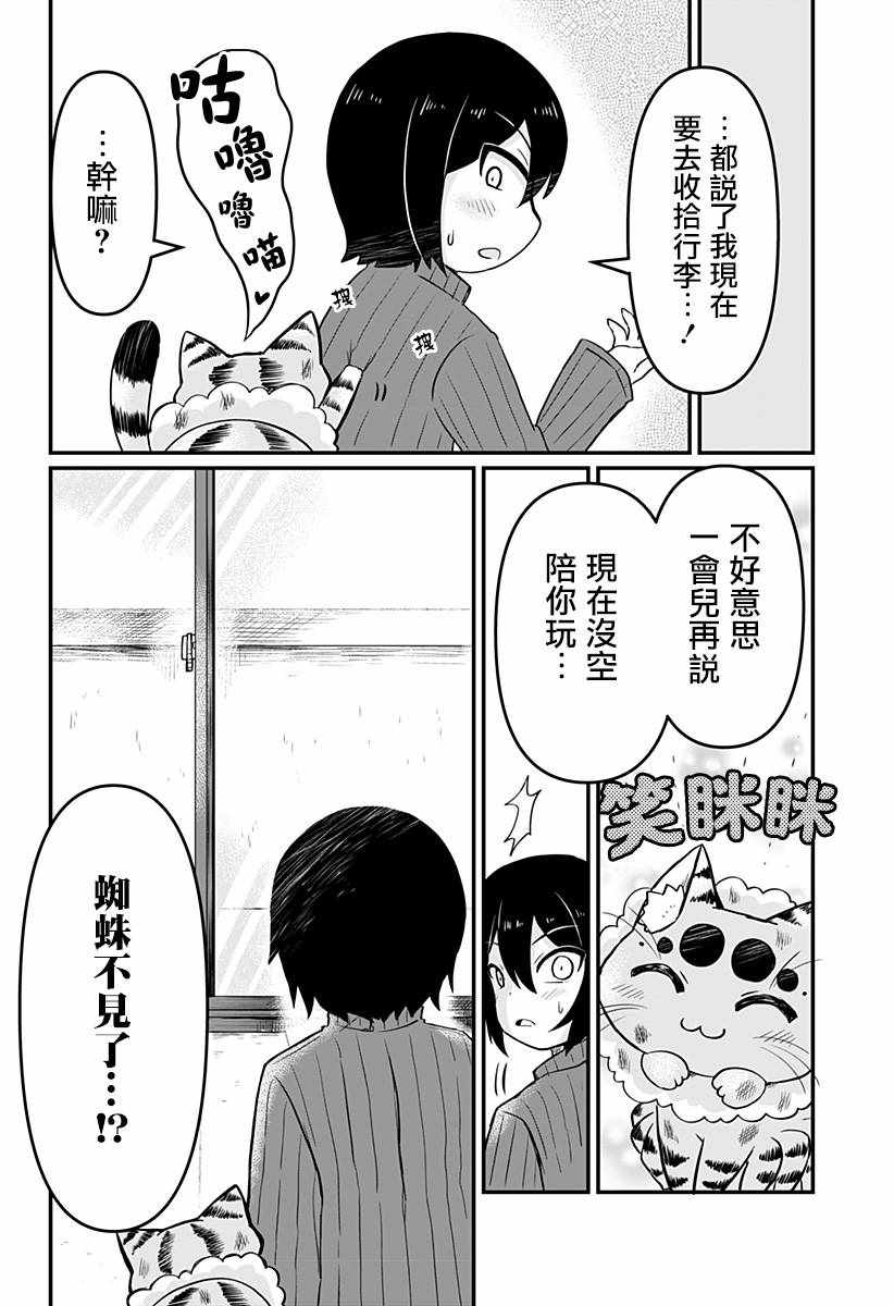 《阳台里来了一蜘猫》漫画 007集